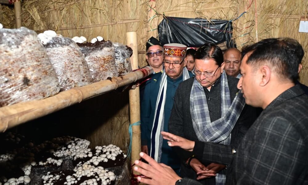 मुख्यमंत्री धामी ने किया हरिद्वार के बुग्गावाला में ‘मशरूम ग्राम’ का शुभारंभ